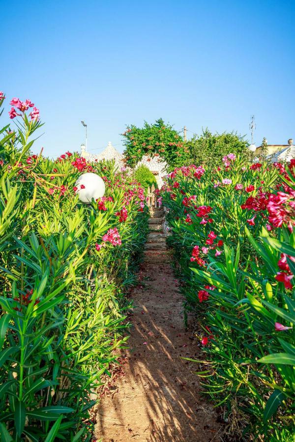 B&B Mandorla Amara 지오이아델콜레 외부 사진