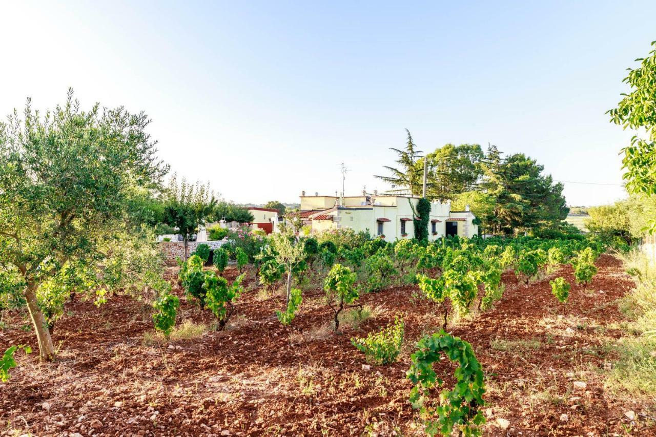 B&B Mandorla Amara 지오이아델콜레 외부 사진